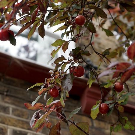 Beautiful London Home Sleeps 6, 2 Minutes To Metro エクステリア 写真