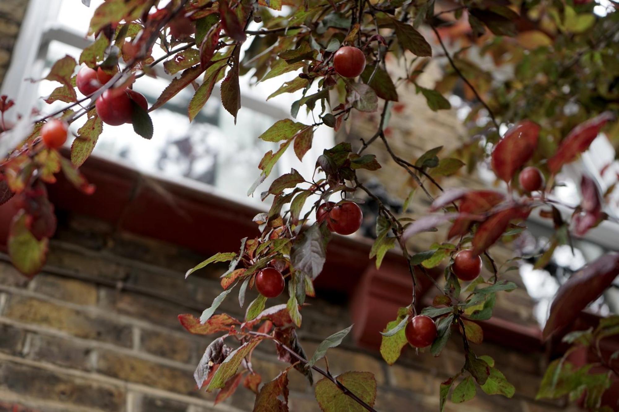 Beautiful London Home Sleeps 6, 2 Minutes To Metro エクステリア 写真