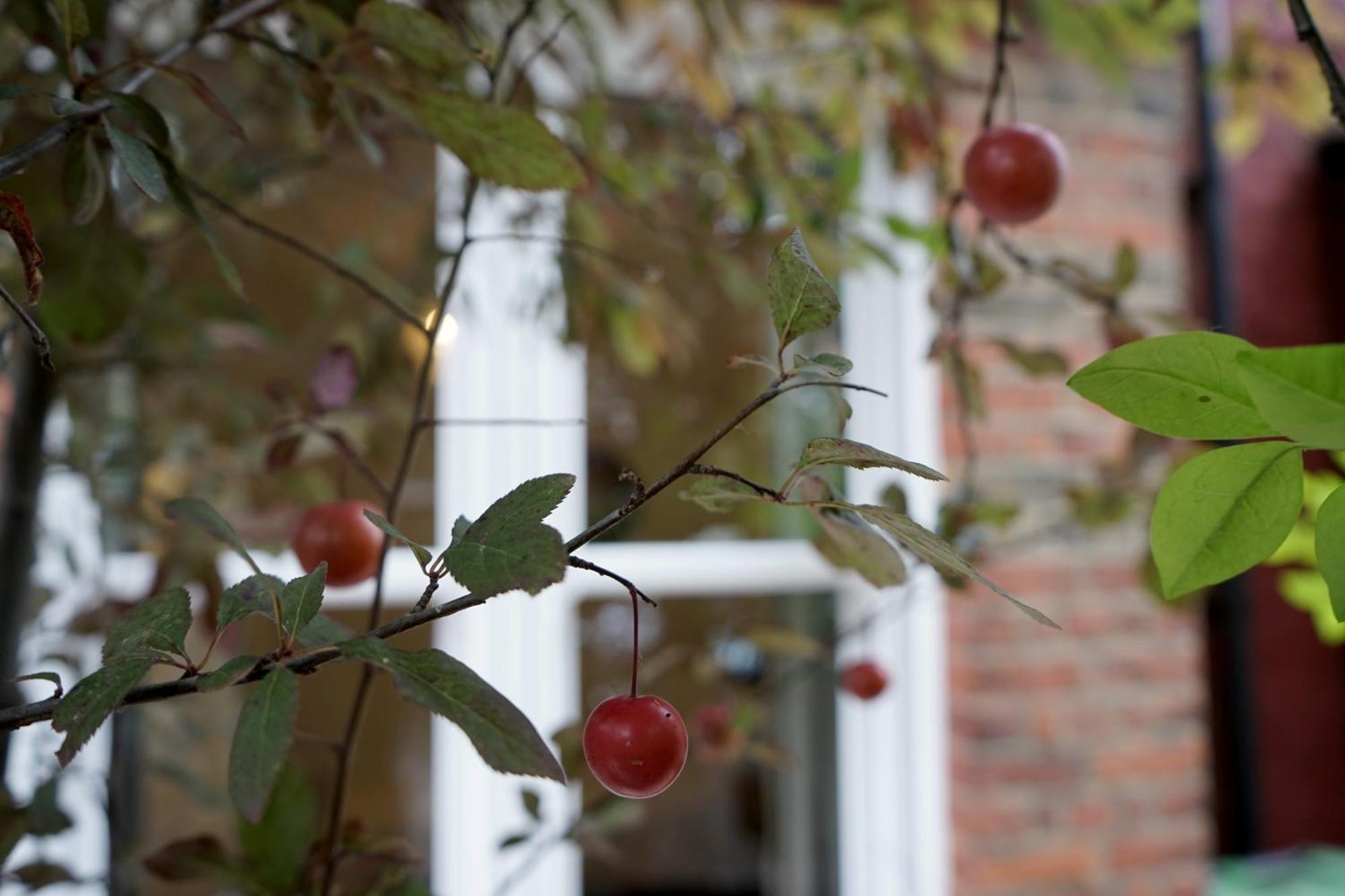 Beautiful London Home Sleeps 6, 2 Minutes To Metro エクステリア 写真